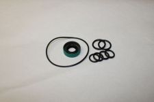 29110 Waterman Sprint  & Super Sprint  Pump Rear Seal and O-Ring Kit Service Kit