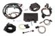 550-936 Holley Terminator X Universal MPFI Kit - Great for EFI  Conversions & Blown Street GAS  E-85