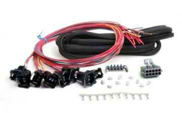 558-204  8 INJECTOR  Harness Universal Unterminated  for HP & DOMINATOR  EFI (Bosch EV1 STYLE)