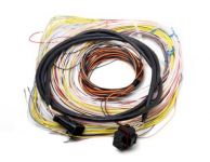 Harness - Dominator EFI Auxiliary Harness