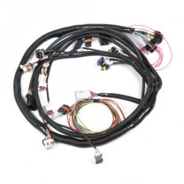 558-104  MAIN Harness - Universal MPFI for HP & DOMINATOR  ECU