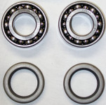 1163 Most Common Rear Kit - The Blower Shop Rear Blower Bearing & Seal Kit