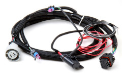 Harness - Holley EFI Transmission Control Harness - GM 4L60 (Pre-2009) and 4L80