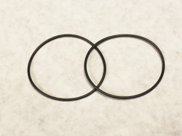 802006 APD Fuel Pump Center O-ring PAIR