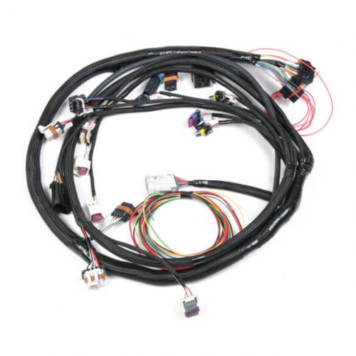 WIRING HARNESSES-ECU- -HOLLEY-HP-DOMINATOR-TERMINATOR
